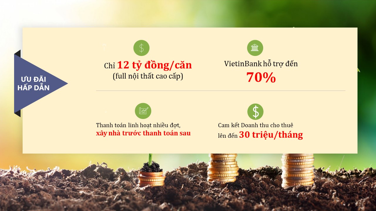 Chính sách bán hàng hấp dẫn - Doanh thu cho thuê cao